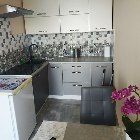Oskar Apartament Centrum Pkp Mińsk Mazowiecki Eksteriør billede